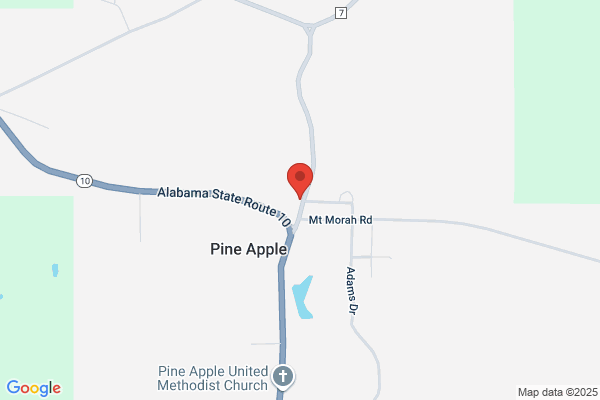 Pine Apple Volunteer Fire Department