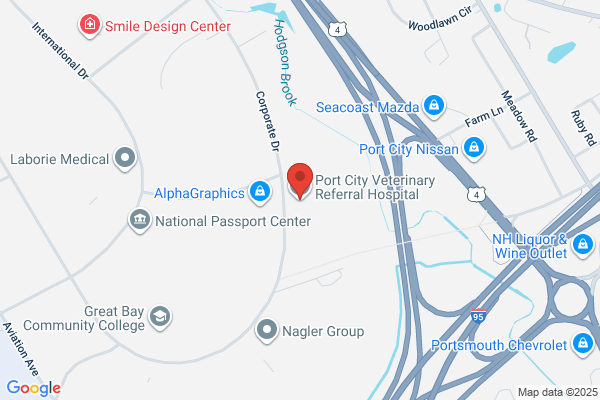 Port City Animal Hospital