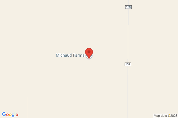 Mattson Ranch