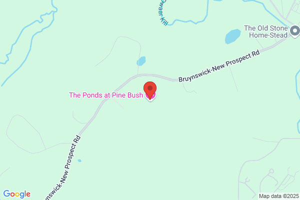 Pine Haven Bed & Breakfast