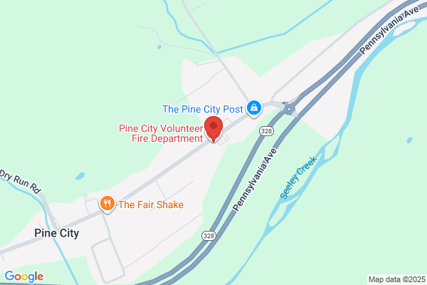 Pine City Fire Co Non-Emergency Calls