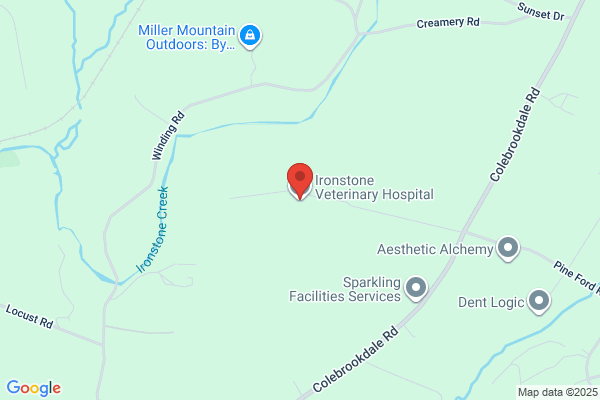 Ironstone Veterinary Hospital, Sherilyn Allen VMD