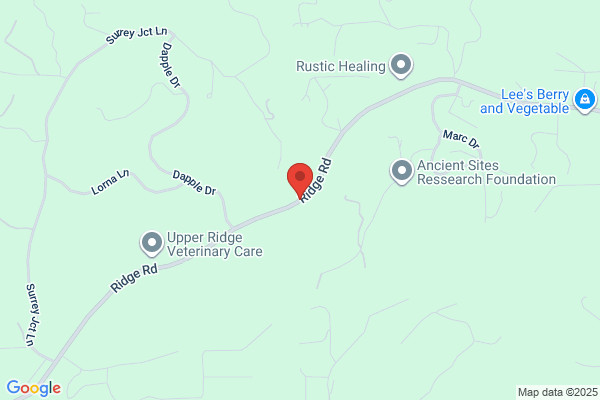 Surrey Junction Veterinary Clinic