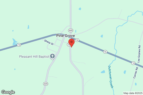 Pine Grove Community Home