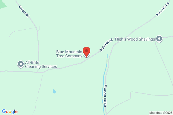 Blue Mountain Tree Company