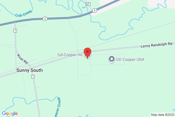 Gd Copper  Inc.