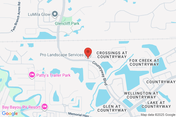 Professional Landscape Maintenance Service