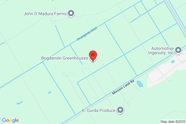 Bogdanski Greenhouses