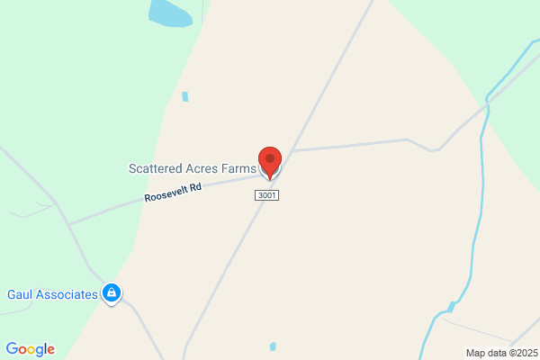 Scattered Acres Farm