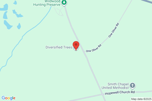 Diversified Trees Inc