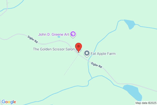 Golden Scissors Salon the