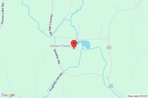 Goose Chase the