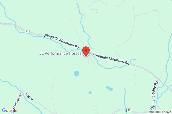 P J's Quarter Horses