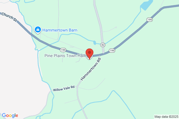 Pine Plains Town of, Police Department