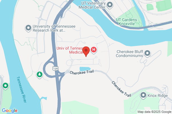 McCoy Michael J Dentist