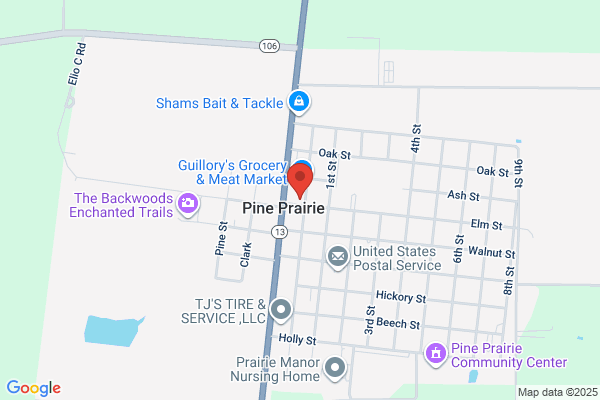 Pine Cone the