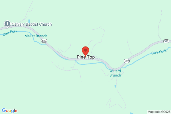 Pinetop Motors Inc, (Pinetop Lot)