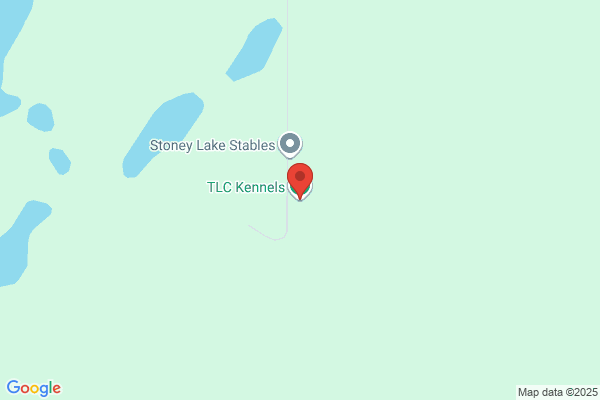 Tlc Kennels
