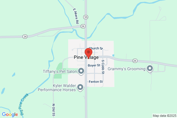 Arni's Pine Village