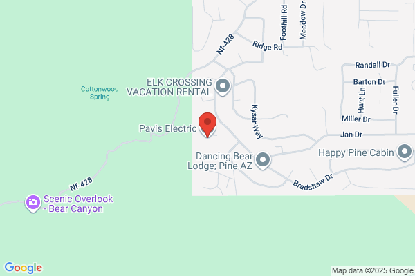 Pavis Electric