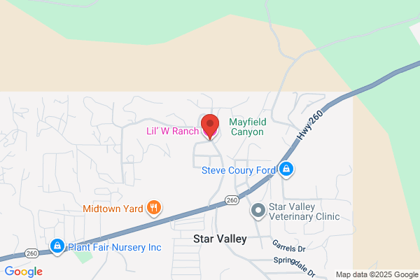 Star Vale Mobile Home Park Manager