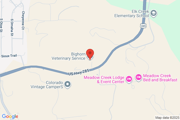 Bighorn Veterinary Service