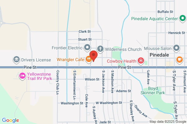 NAPA Auto Parts - Pinedale Auto Supply