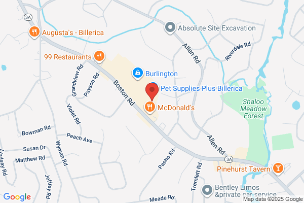 EXCEL DENTAL BILLERICA