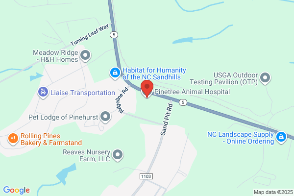 Pinetree Animal Hospital