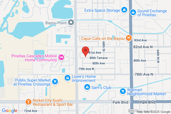 Professional Network Services Inc