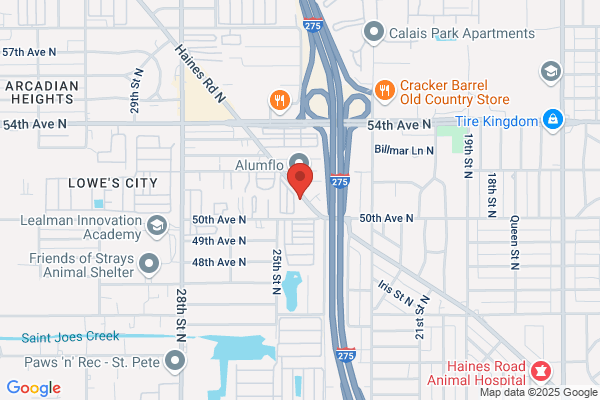Roto-Rooter Plumbing & Drain Service