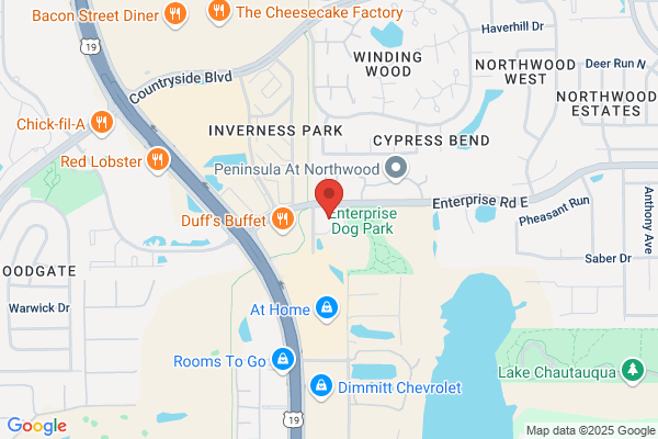 Clear Title of Pinellas County Inc