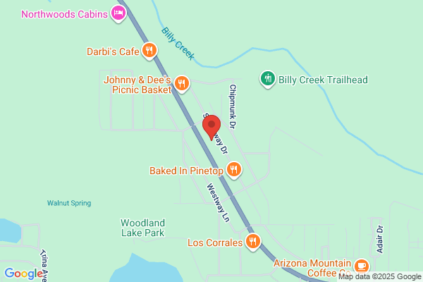 Carquest Auto Parts - CARQUEST of Pinetop