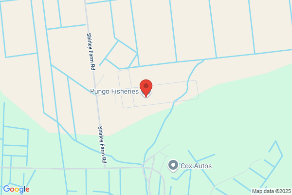 Pungo Fisheries