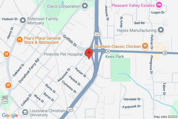 Rayburn Surgical Clinic