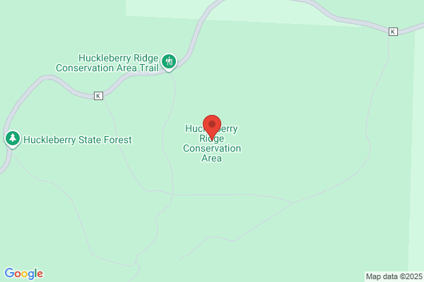 Huckleberry Junction