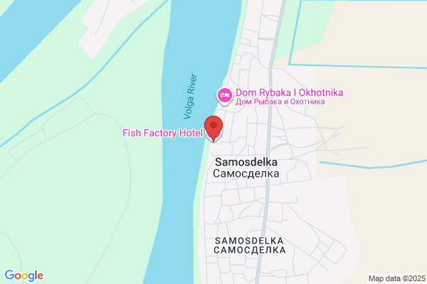 Fish Factory