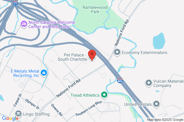 Pet Palace - South Charlotte