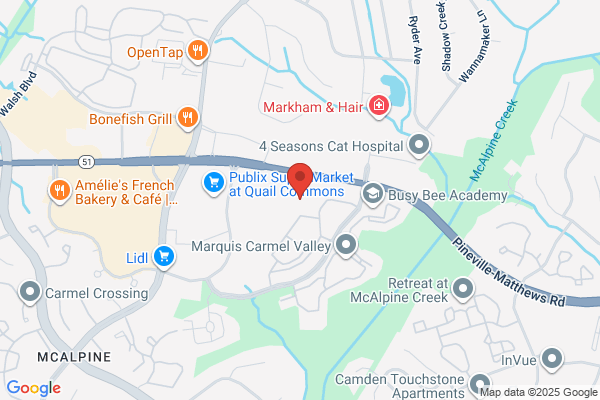 Adriana Najera - Charlotte Realtor