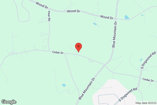 Avalanche Winter Services Inc