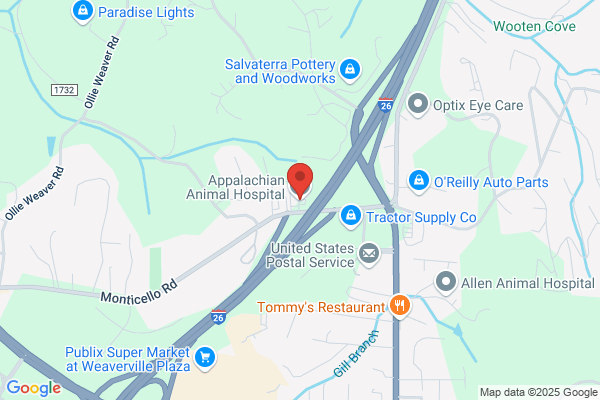 Appalachian Animal Hospital
