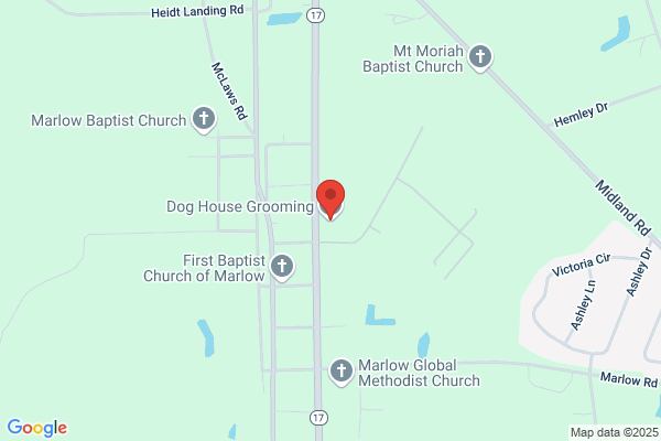 Dog House Groomers Llc the