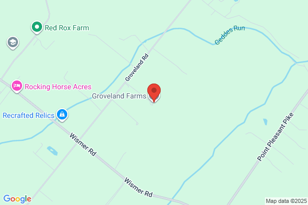 Groveland Design