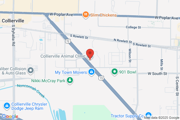 Collierville Animal Clinic
