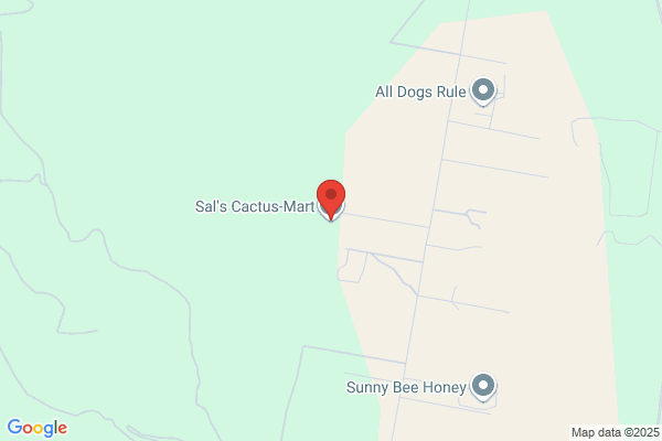 Cactus Mart