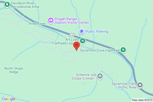 Davidson River Campground