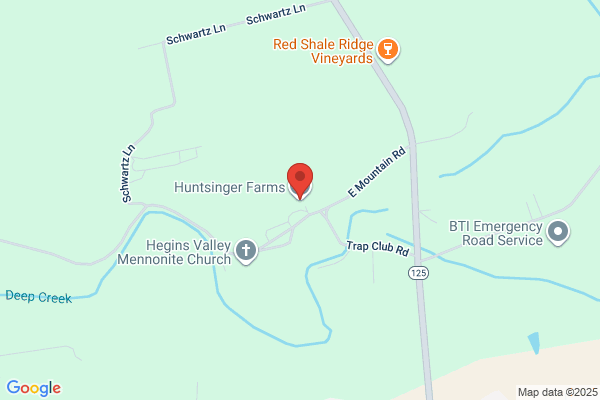 Huntsinger Farms Inc
