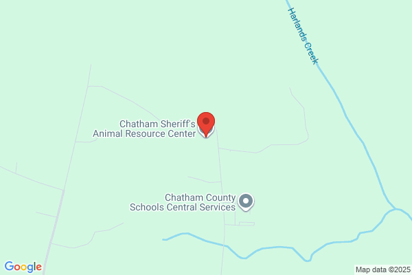 Chatham Animal Rescue and Education Inc