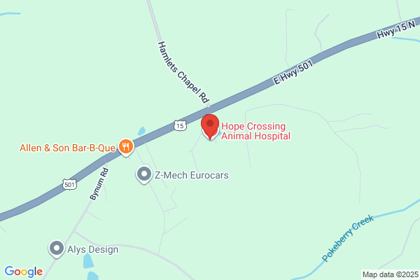 John Bowen - Hope Crossing Animal Hospital