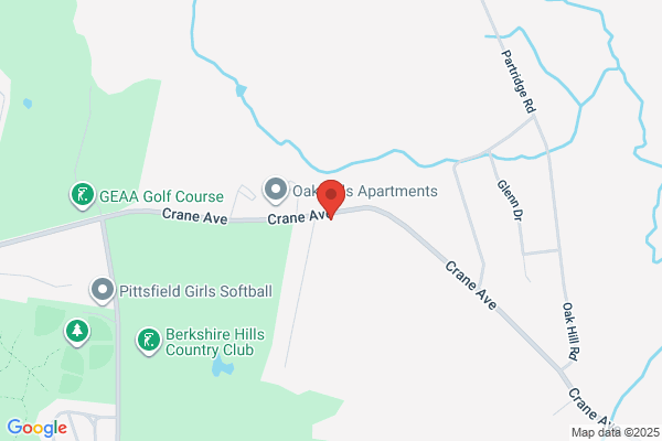 Balloons Over Berkshires